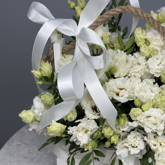 Цветы в ящике Энканто