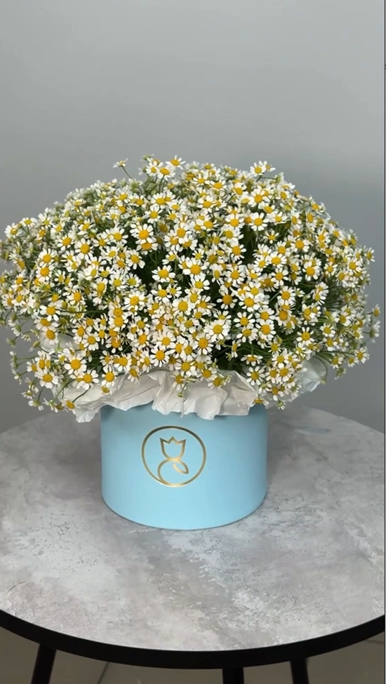 Ромашка в шляпной корообке М