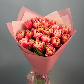Букет из 21 малиновых пионовидных тюльпанов