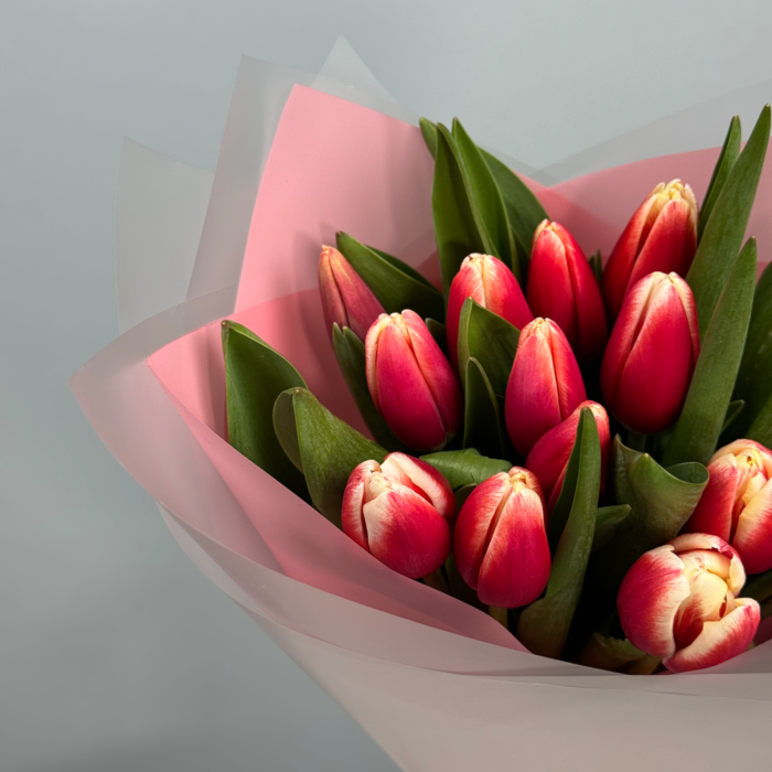Букет из 15 красных тюльпанов