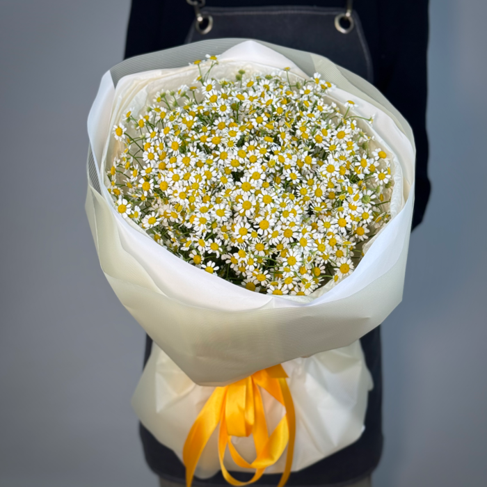 Букет из 19 ромашки