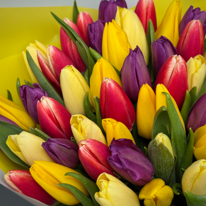 Букет из 51 тюльпанов яркий микс
