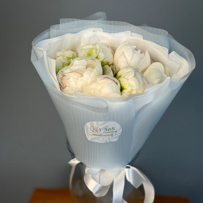 Букет из 1 белых пионов