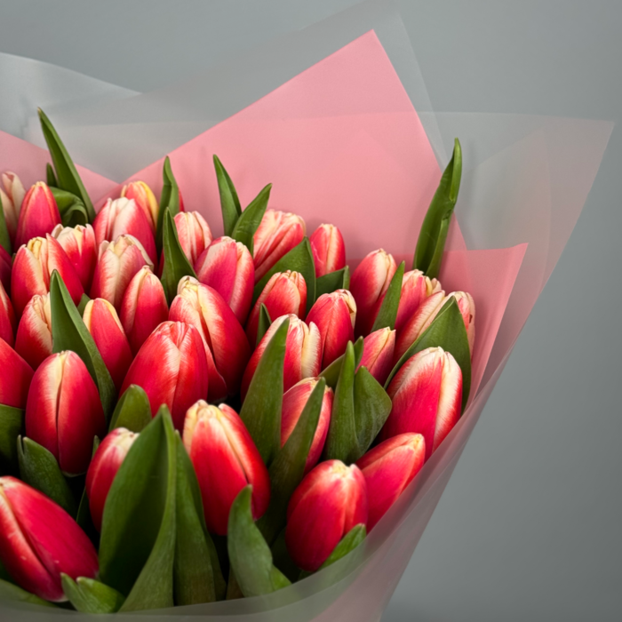 Букет из 41 красных тюльпанов