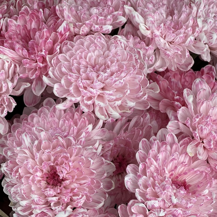 Букет Розовое облако