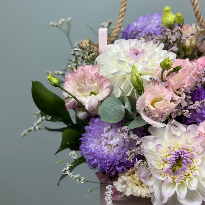 Цветы в ящике Лунный свет