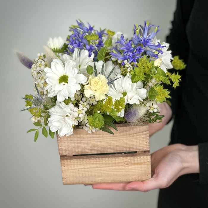 Цветы в ящике Жаклин