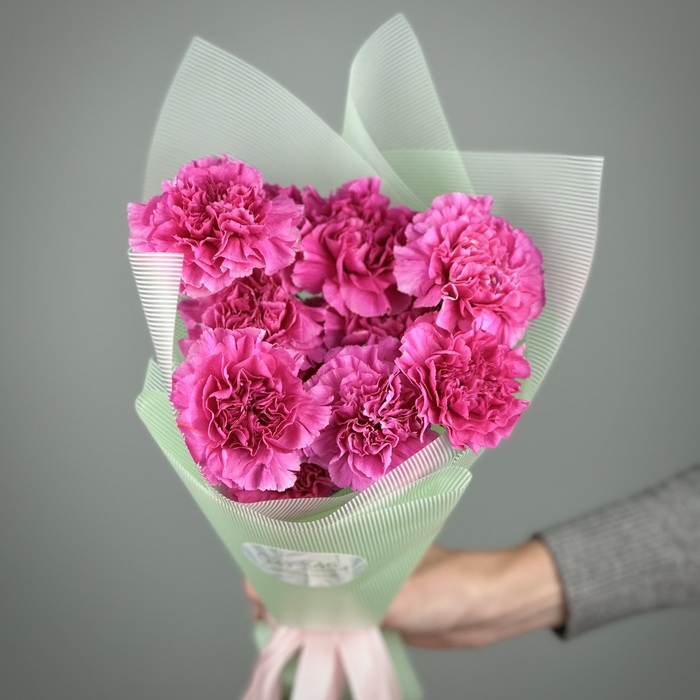 Букет из 1 малиновых гвоздик