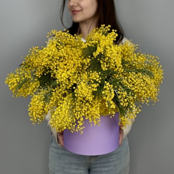 Цветы в коробке Мимоза