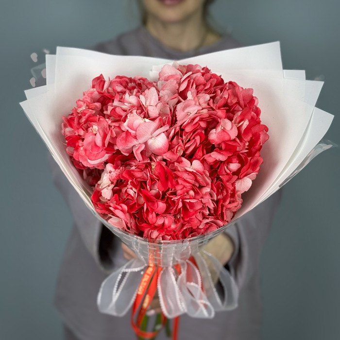 Букет из 1 красных гортензий