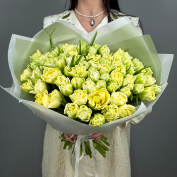 Букет из 71 светлых пионовидных тюльпанов