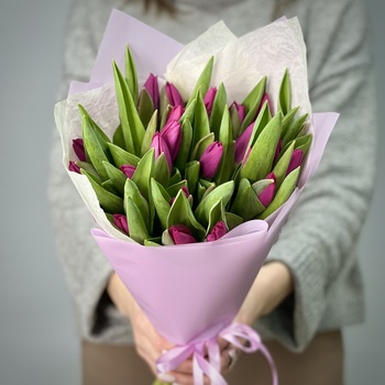 Букет из 25 фиолетовых тюльпанов