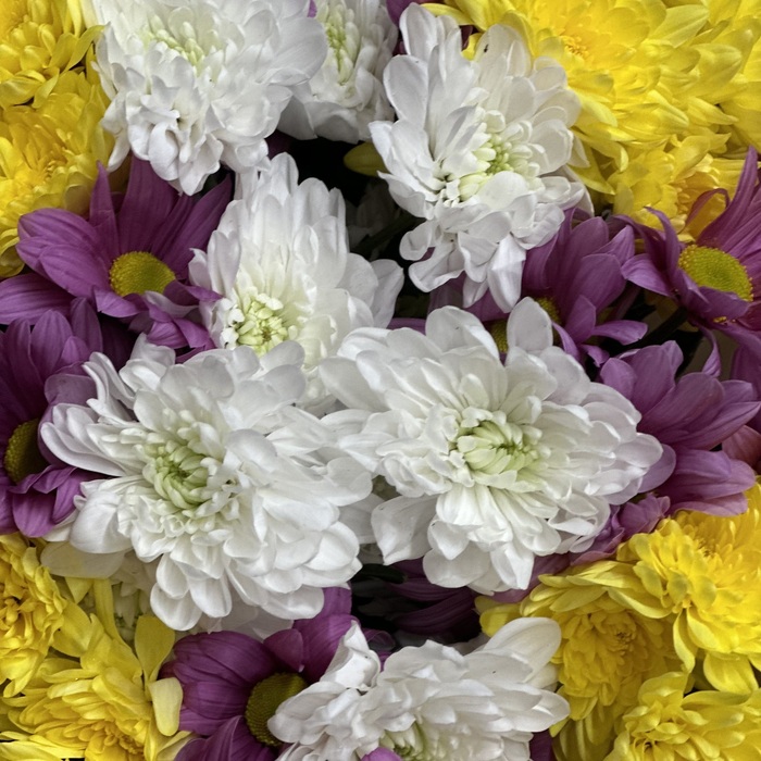 Букет Утренняя звезда