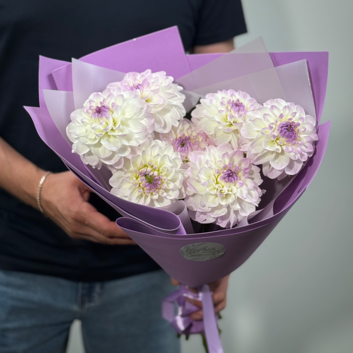 Букет из 1 бело-сиреневых георгин 