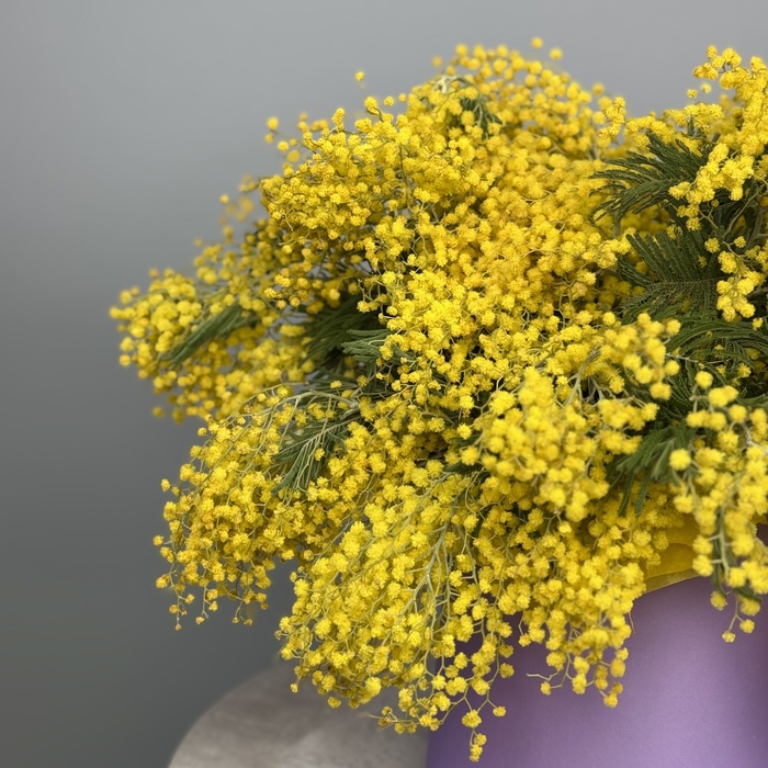 Цветы в коробке Мимоза