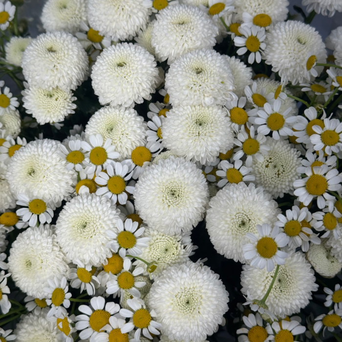 Букет Эстония