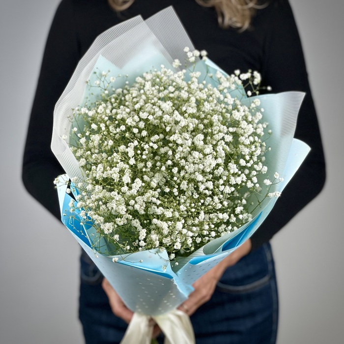 Букет из 1 белых гипсофил