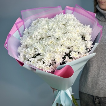 Букет из 25 белых кустовых хризантем