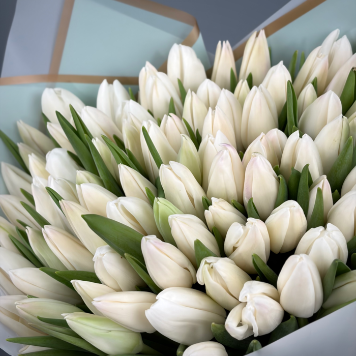 Букет из 101 белых тюльпанов