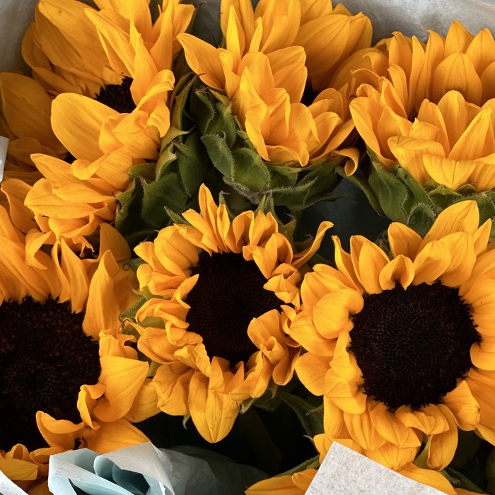 Букет из 9 подсолнухов
