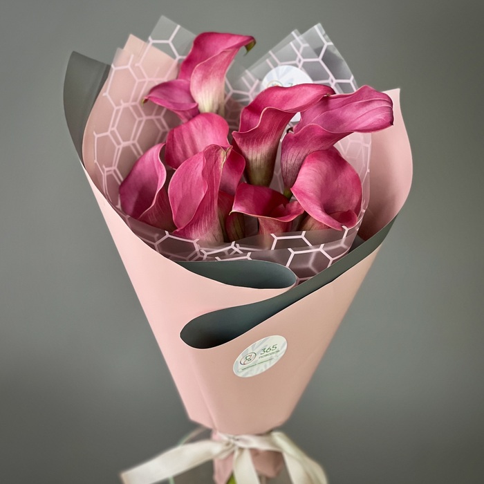 Букет из 1 малиновых калл