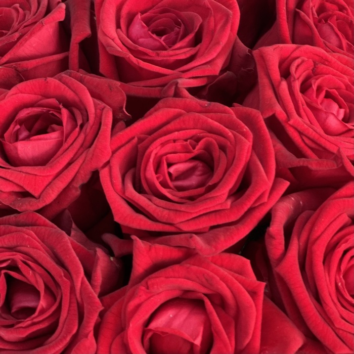 Красные розы в шляпной коробке XS