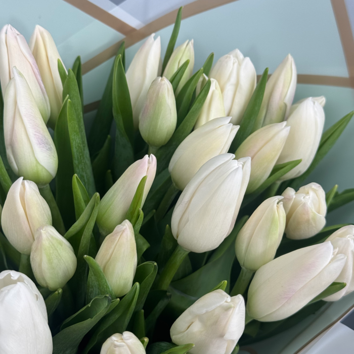 Букет из 31 белых тюльпанов