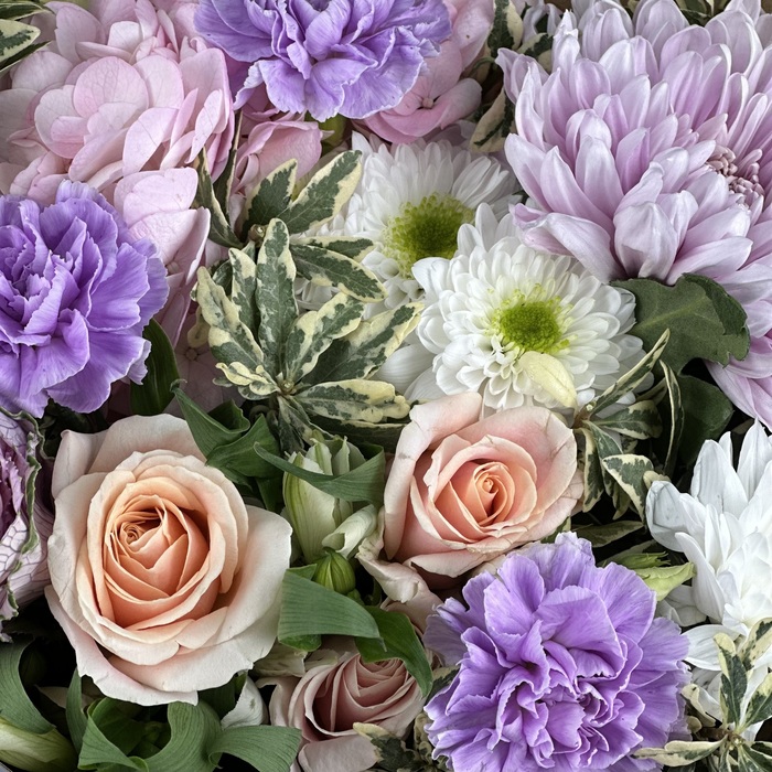 Букет Метеорит