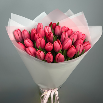 Букет из 31 малиновых тюльпанов