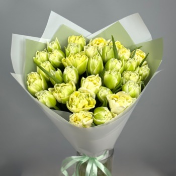 Букет из 31 светлых пионовидных тюльпанов