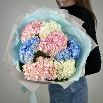 Букет из 7 гортензий микс