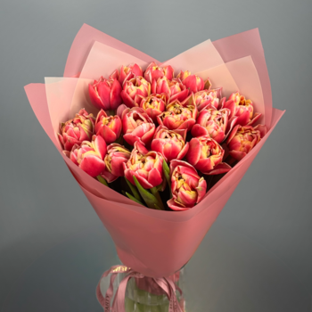 Букет из 41 малиновых пионовидных тюльпанов
