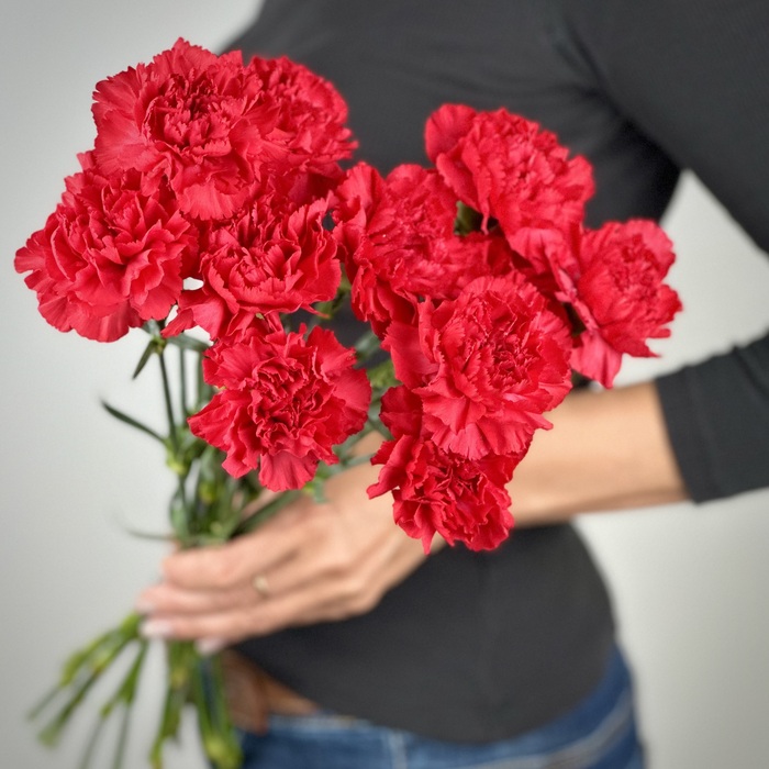 Букет из 11 красных гвоздик