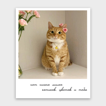 Открытка Нет ничего милее котиков (кот, формат мини)