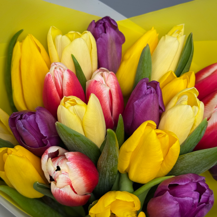 Букет из 21 тюльпанов яркий микс