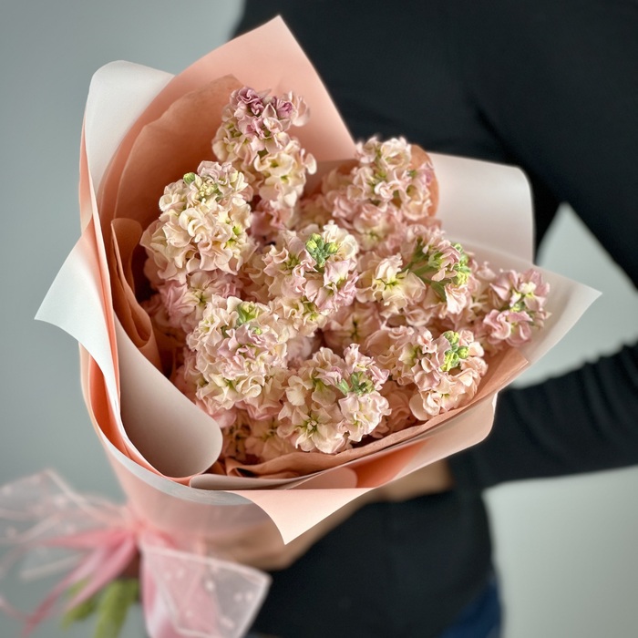 Букет из 1 персиковых маттиол