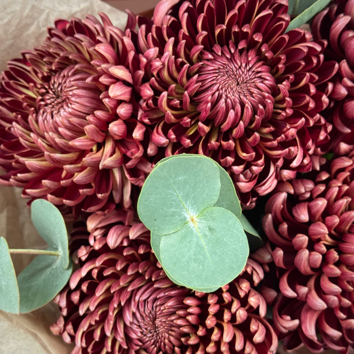 Букет Шоколад