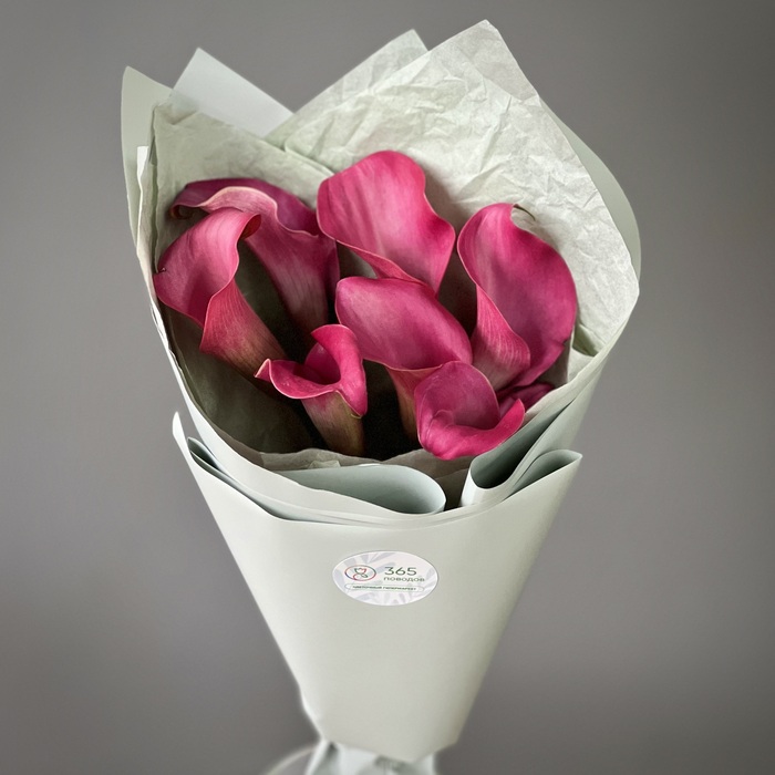 Букет из 1 малиновых калл