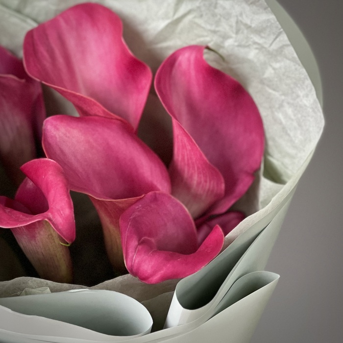 Букет из 7 малиновых калл