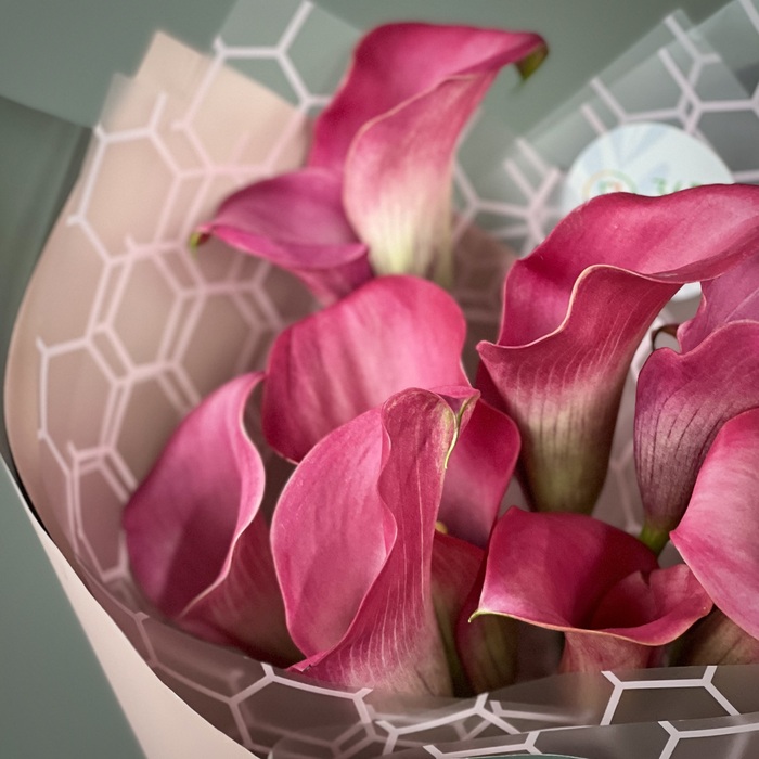 Букет из 9 малиновых калл