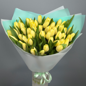 Букет из 51 кремовых тюльпанов