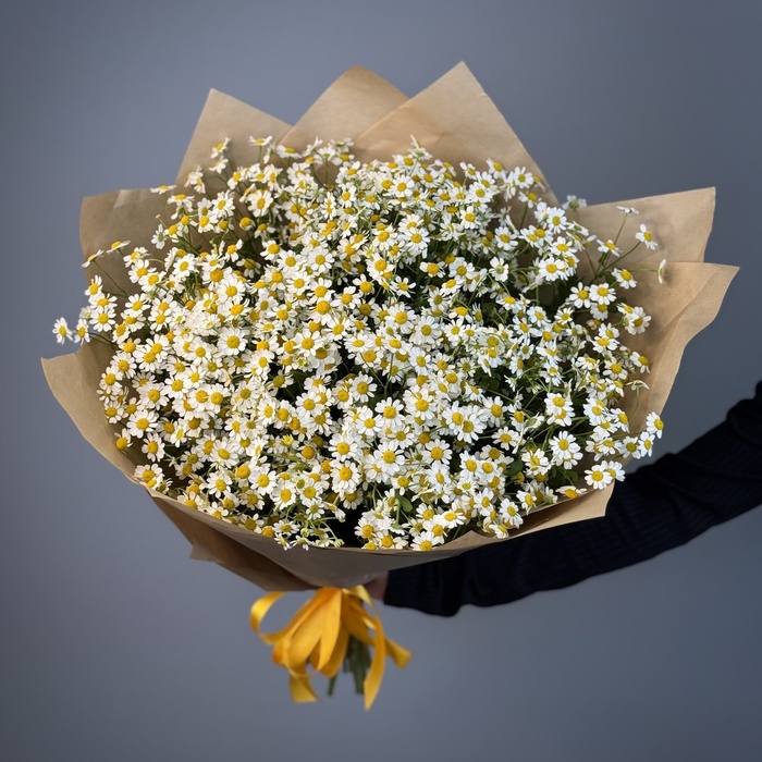 Букет из 21 ромашки