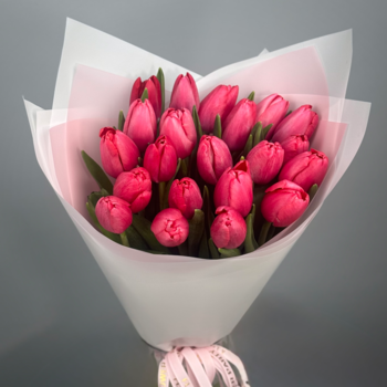 Букет из 21 малиновых тюльпанов