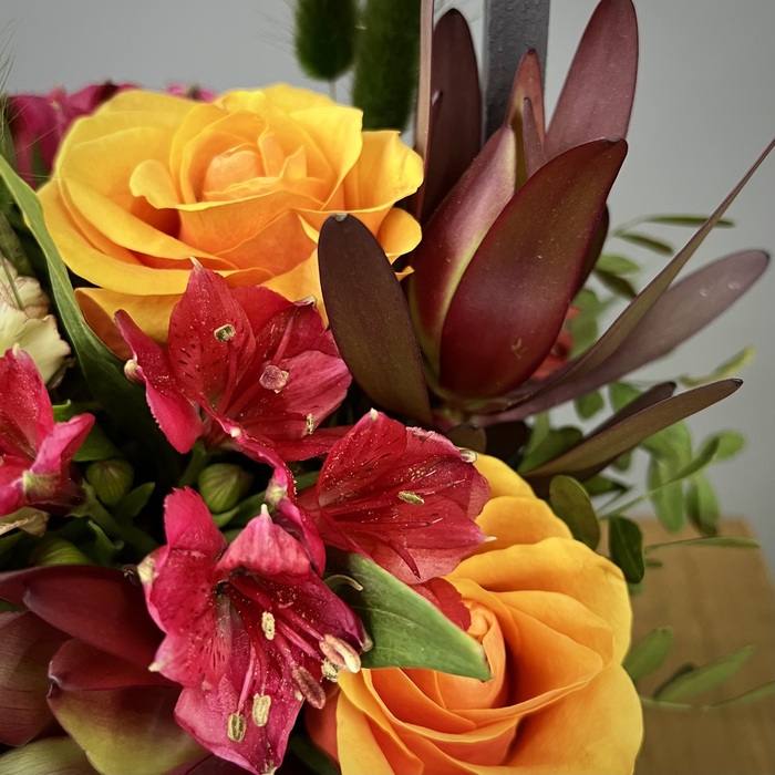 Цветы в ящике Пламя