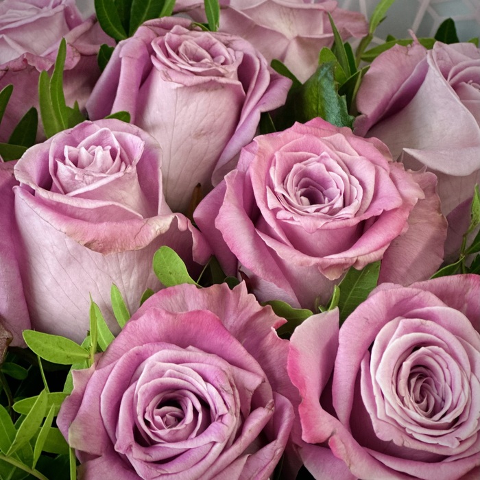 Букет из лиловых роз Мэритим