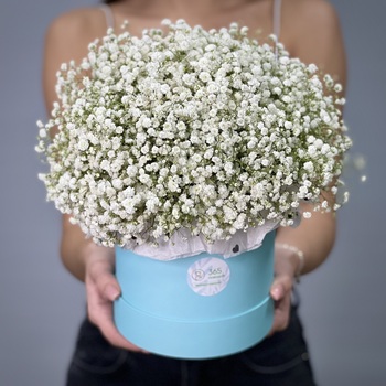 Белая гипсофила в шляпной коробке S