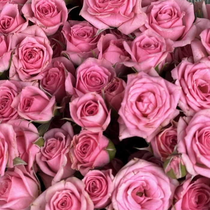 Букет Грация