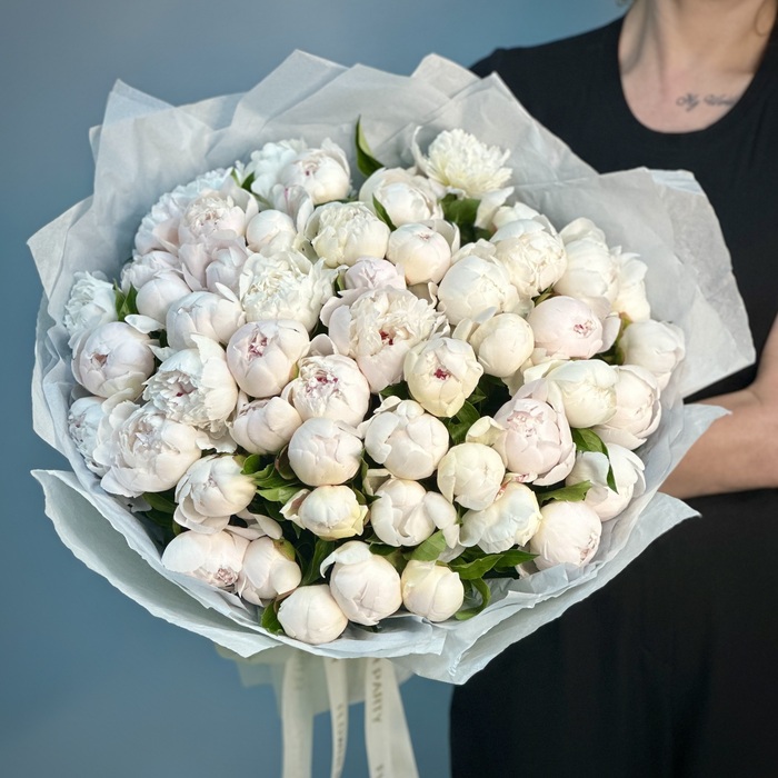 Букет из 51 бело-розовых пионов