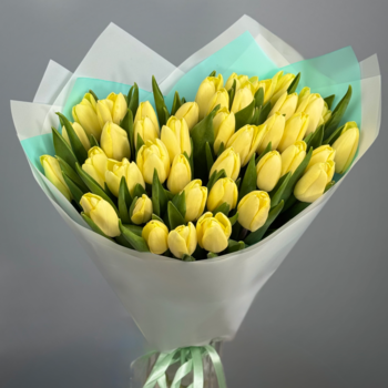 Букет из 41 кремовых тюльпанов