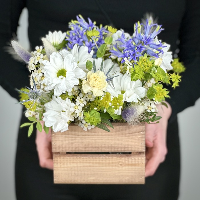 Цветы в ящике Жаклин